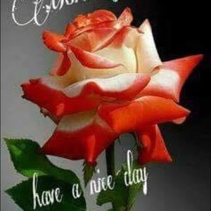 Meet your Posher, Desta